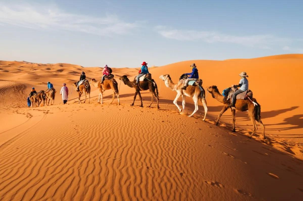 Sahara desert camp