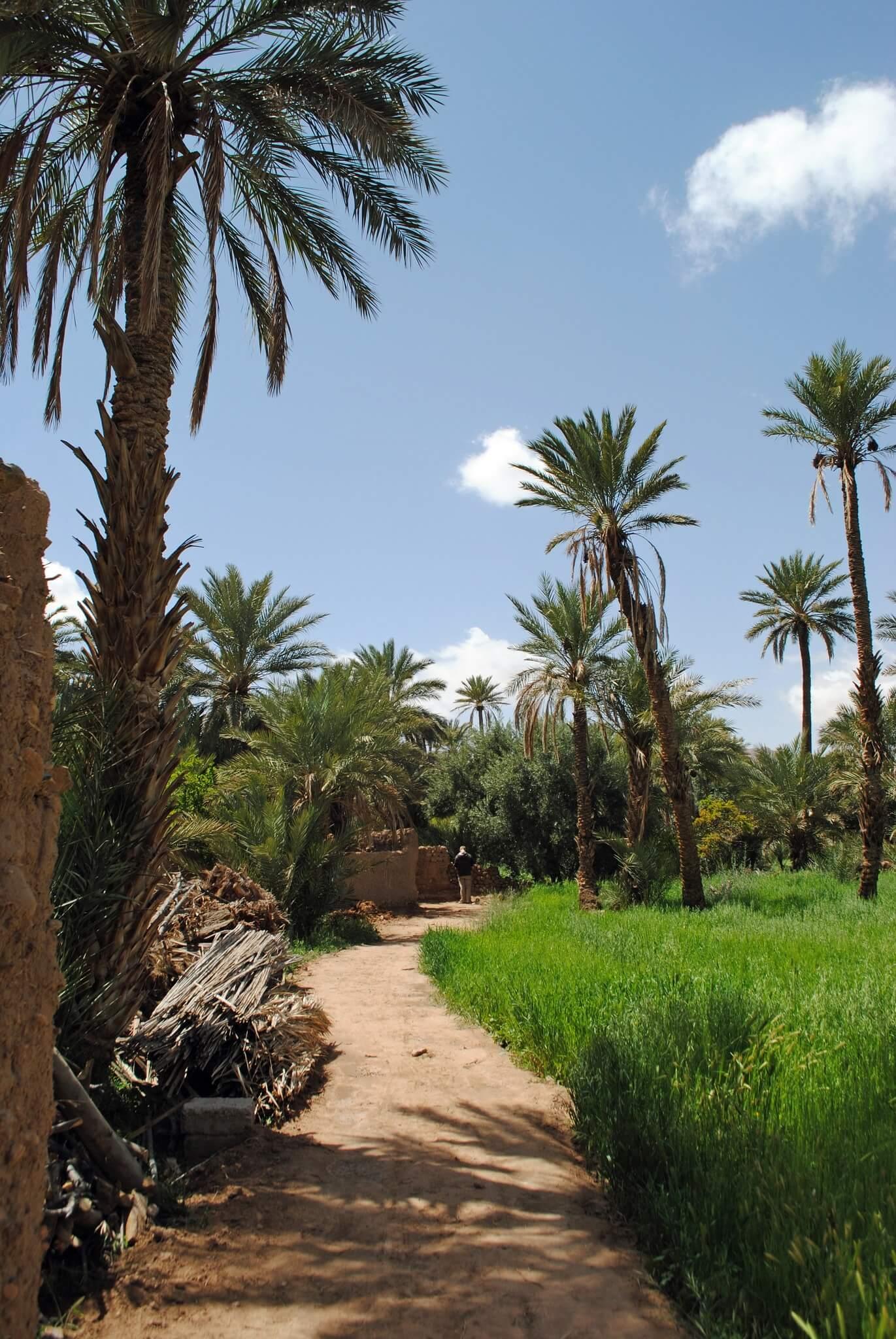 Erfoud Morocco