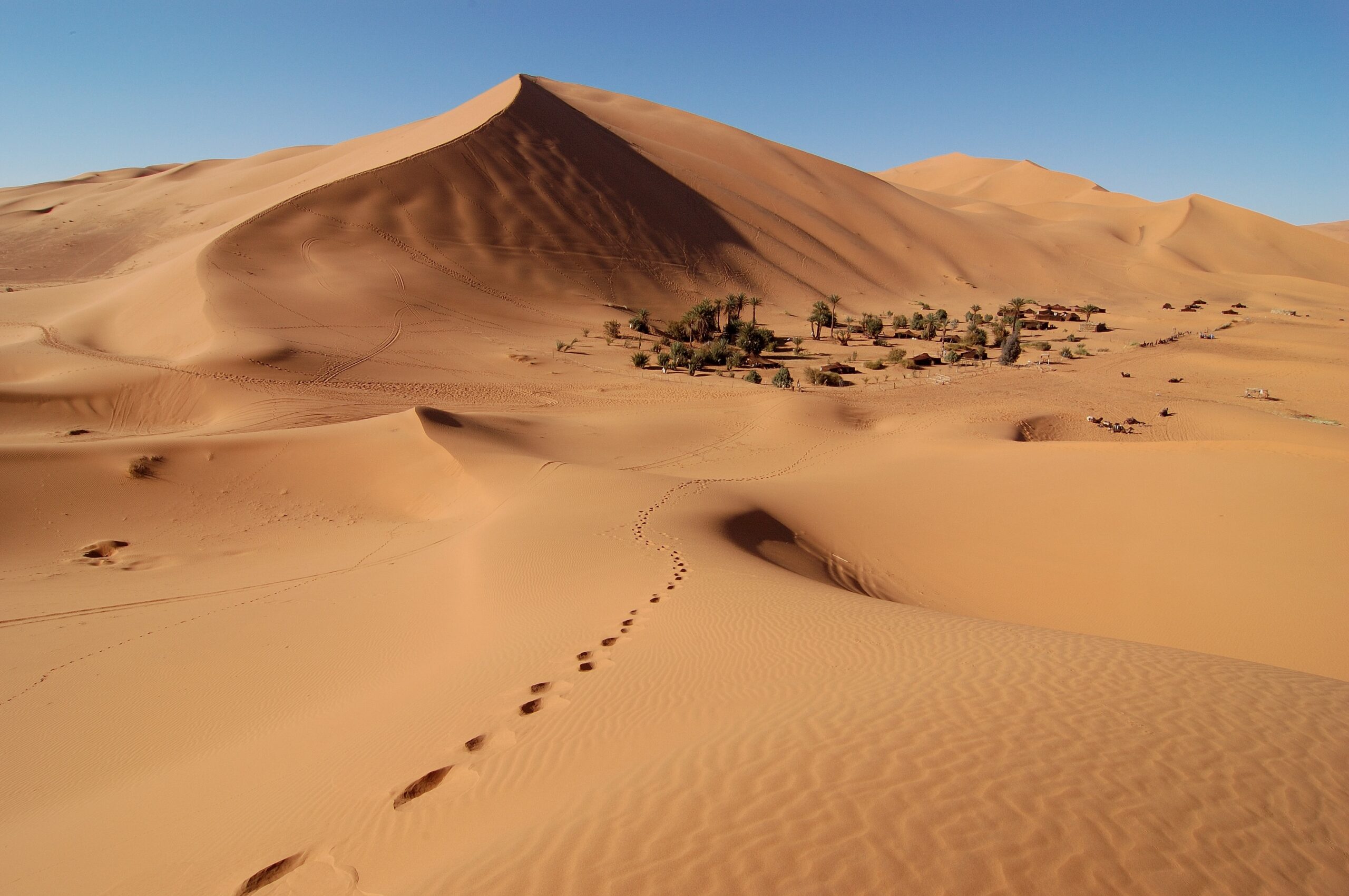 Erg Chebbi Dunes Morocco