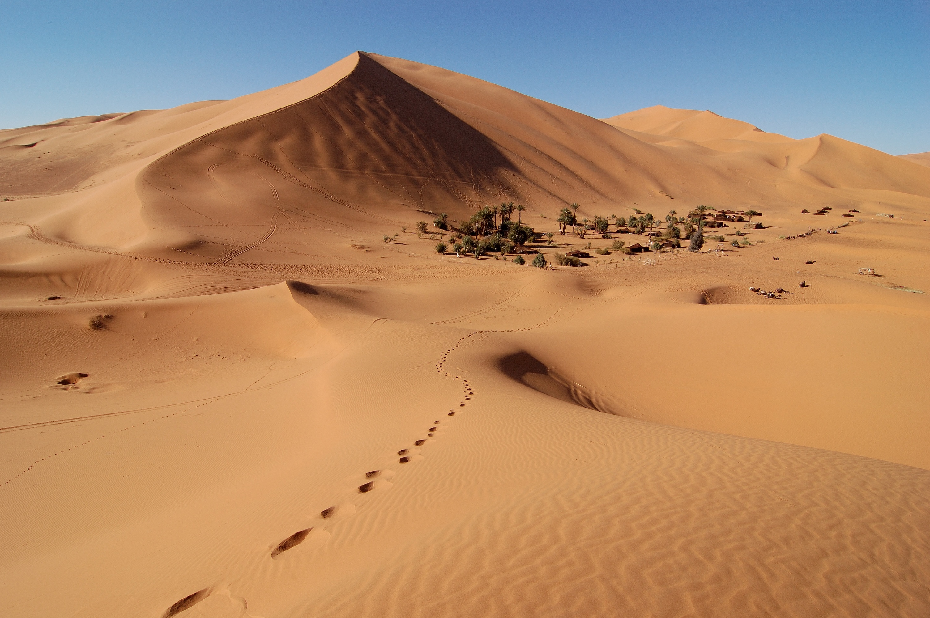 Erg Chebbi Merzouga Sahara Desert Morocco