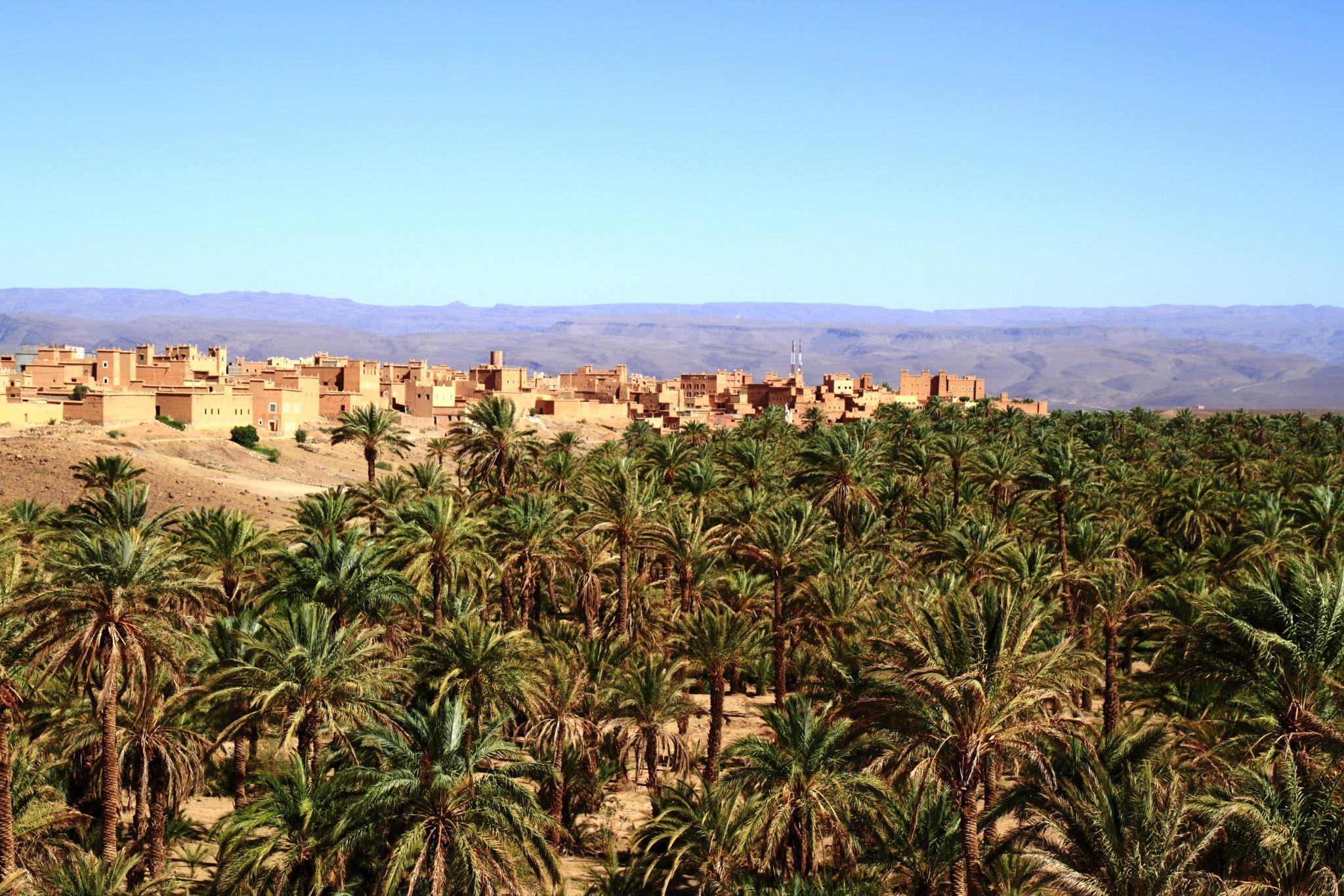 Desert Landscapes