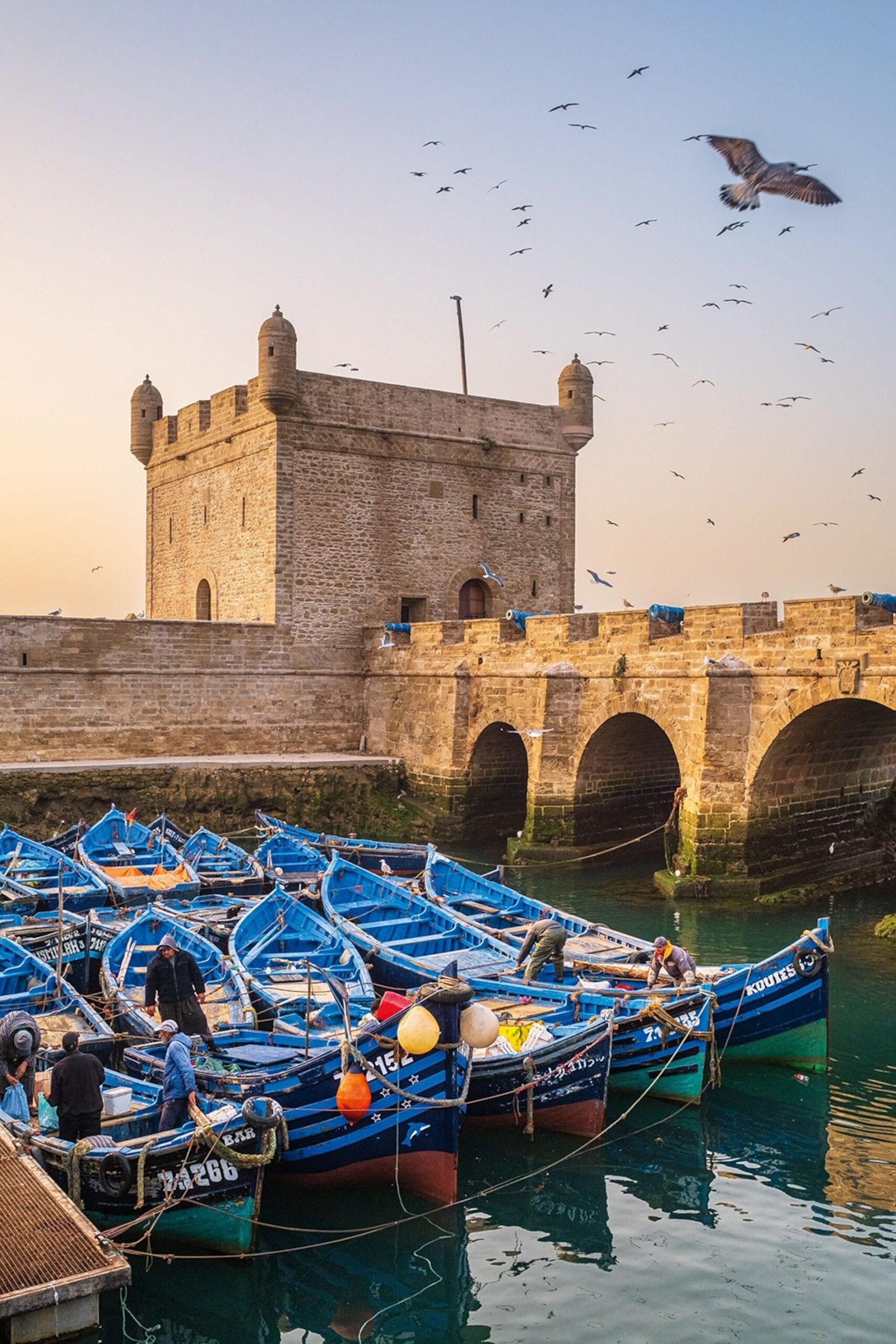 Marrakech to Essaouira coastal tour Morocco
