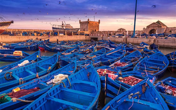 Essaouira fishing port Morocco